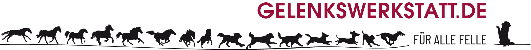 Gelenkswerkstatt.de - Tierphysiotherapie für München und Umgebung