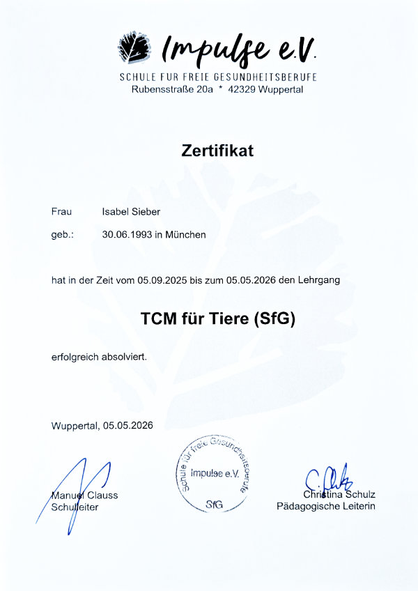 Zertifikat für Tierakupunktur – Gelenkswerkstatt Mobile Tierphysiotherapie München-Ost