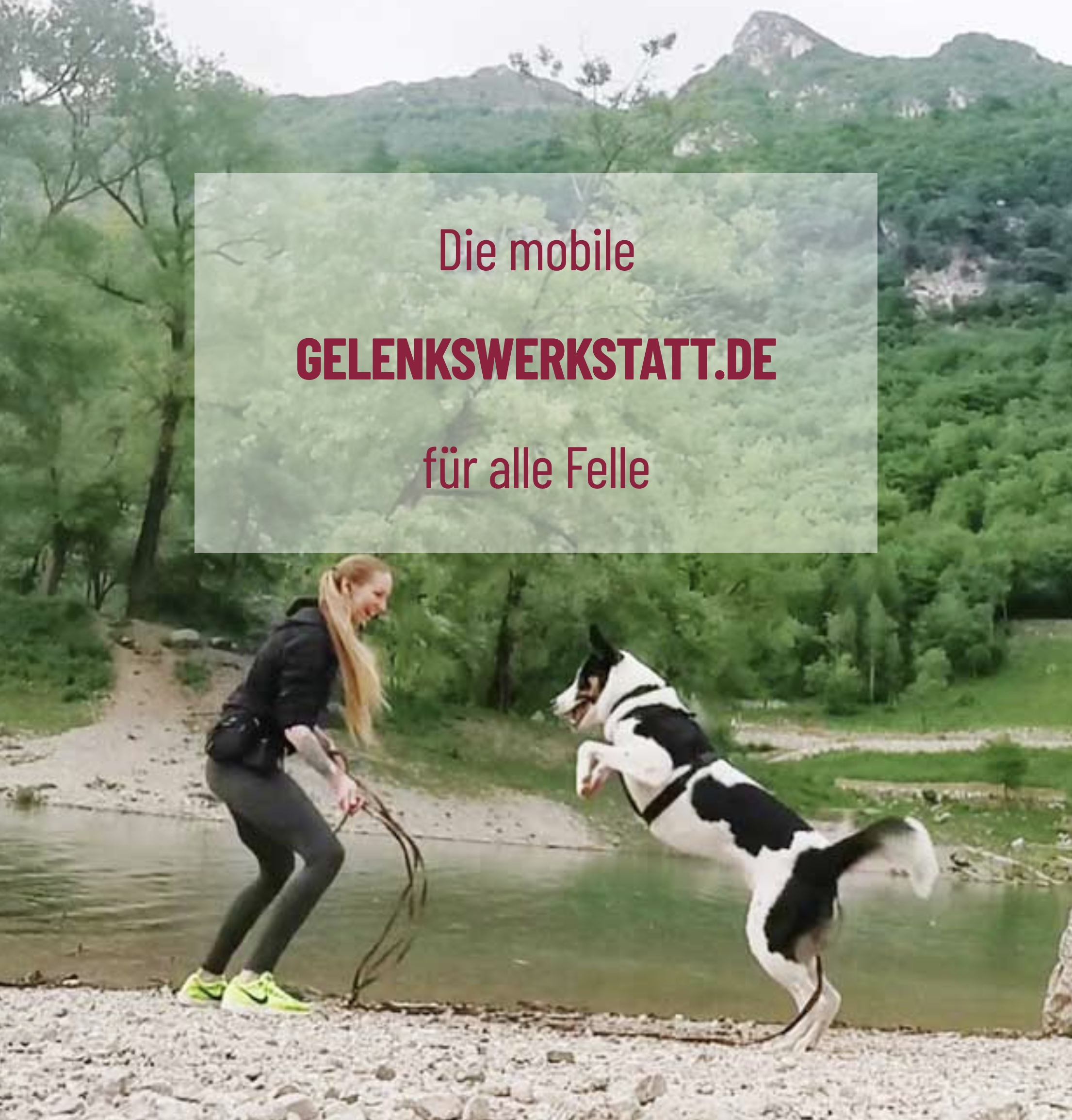 tierphysiotherapie-muenchen-isabel-sieber-500-neu Mobile Schmerztherapie - Tierphysiotherapie für Hunde, Katzen, Pferde in München und Umgebung